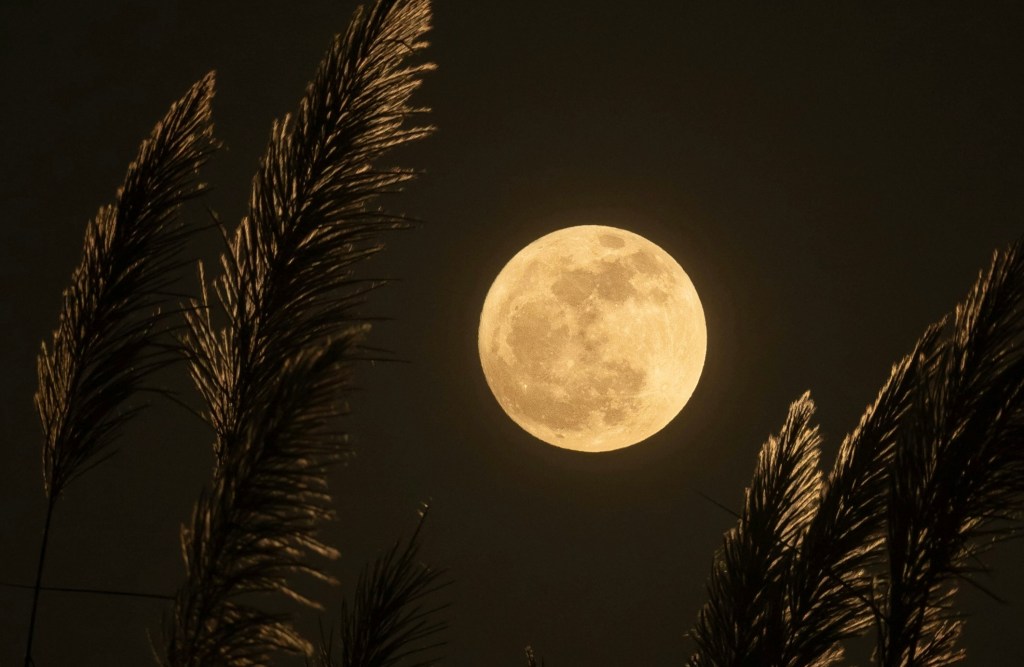 Full Moon in&nbsp;Leo