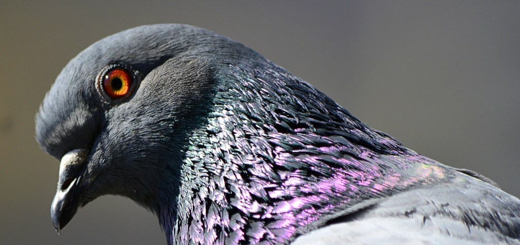 Mercury enters Capricorn