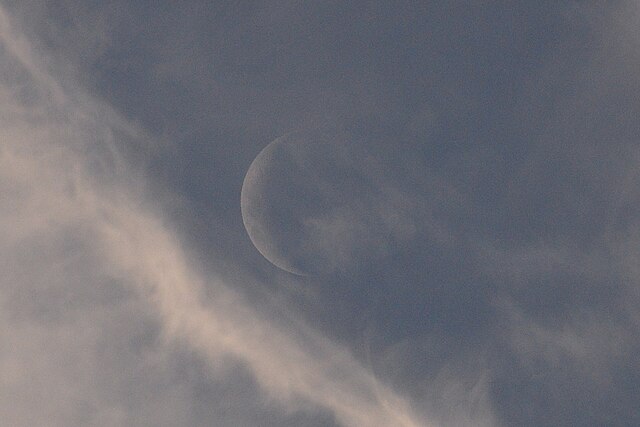 New Moon in&nbsp;Leo