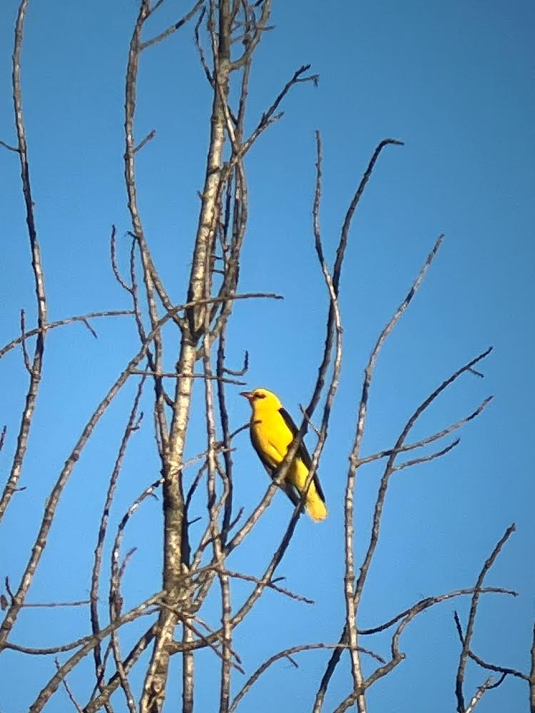 Mercury enters Capricorn