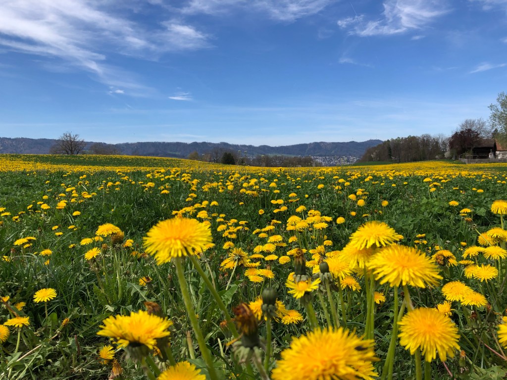 Spring Equinox; Fresh&nbsp;Energy