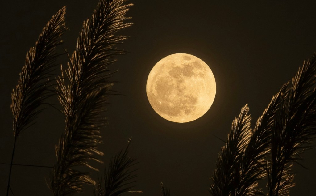 Full Moon in Libra – Hurting and&nbsp;Healing