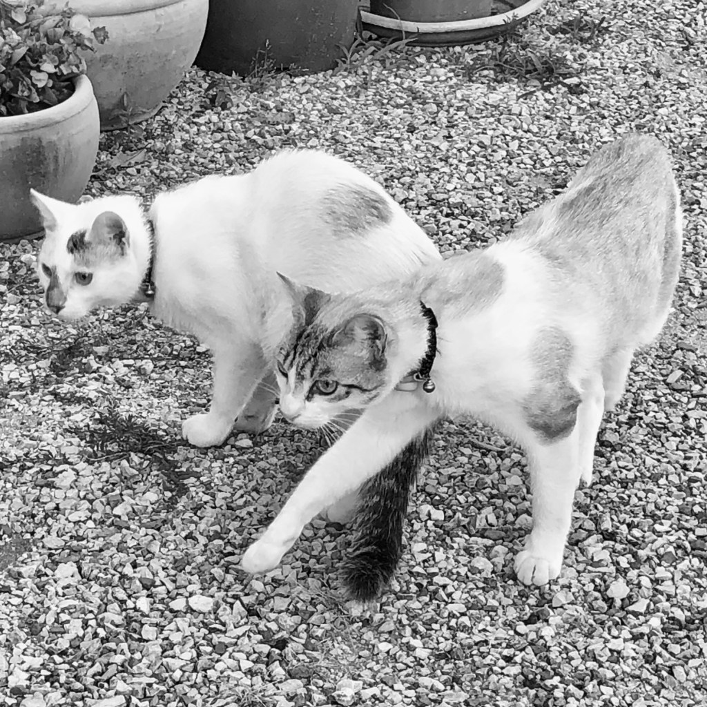 Cosmic shifts; Uranus in&nbsp;Gemini