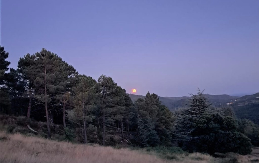 What gift do you bring to the Human&nbsp;Story?