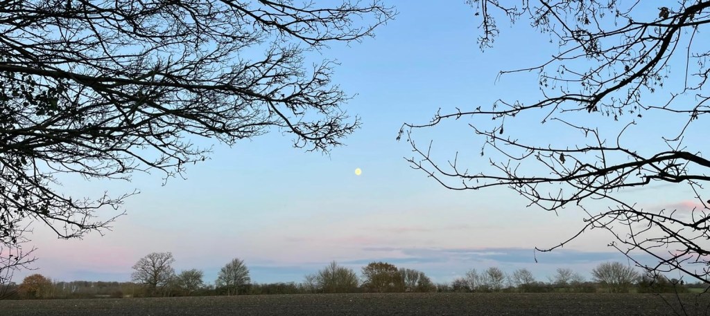 The Cold Full&nbsp;Moon