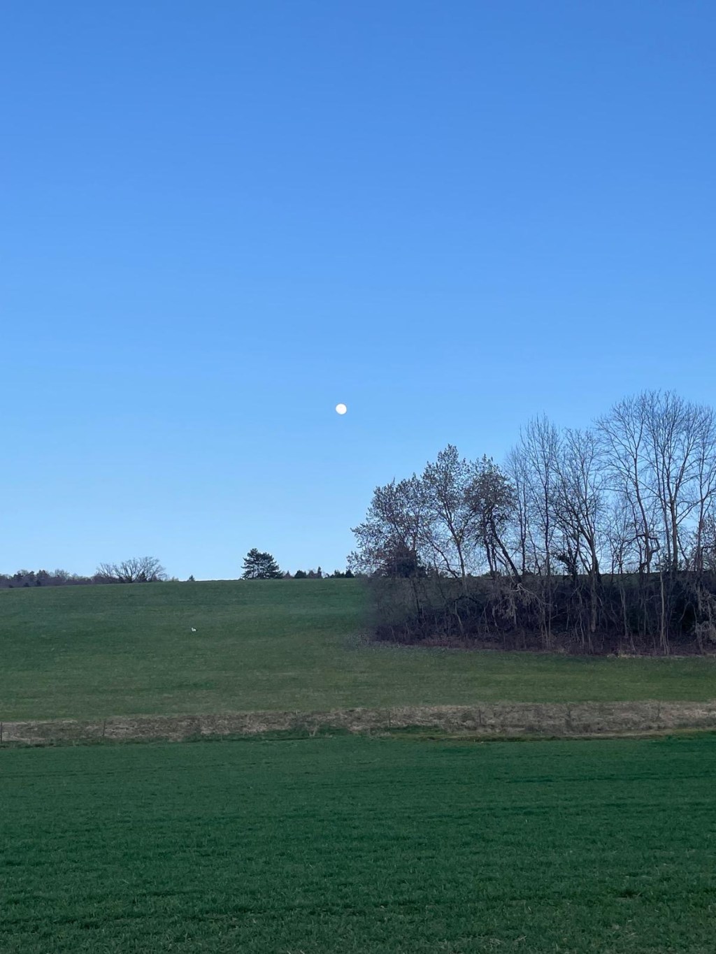 Staying grounded during the Lunar&nbsp;Eclipse