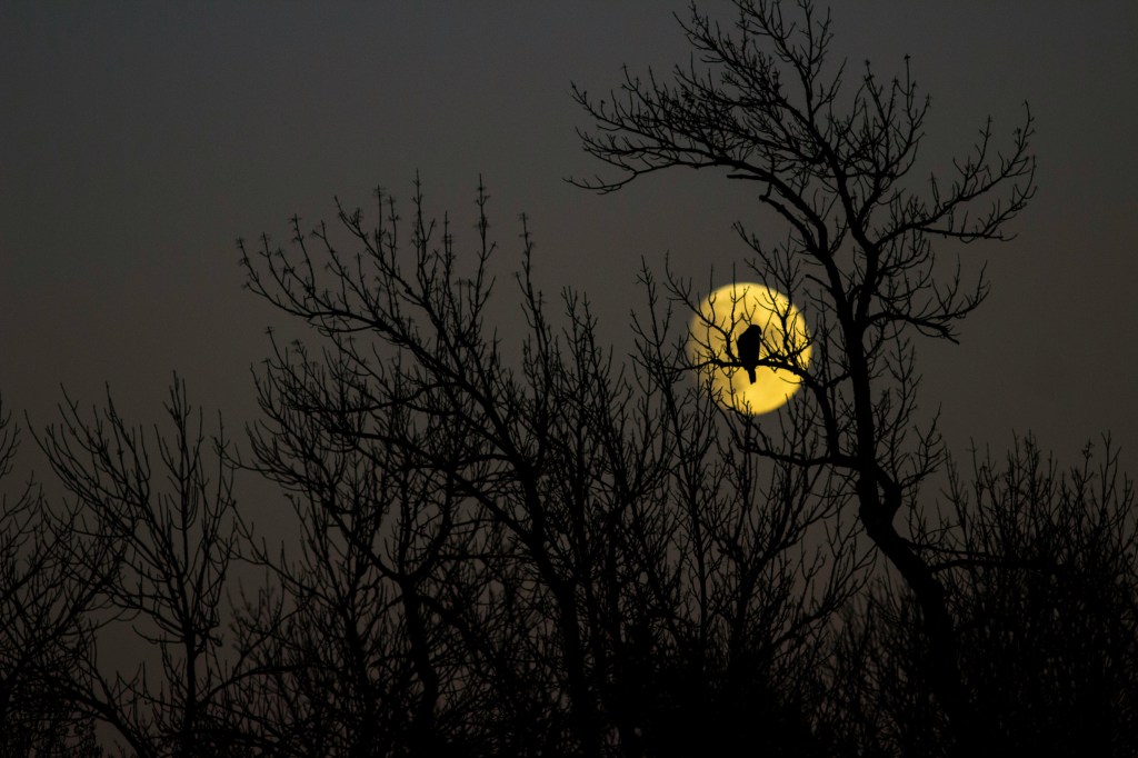 I am, We are : Relationships & the Aries Full&nbsp;Moon